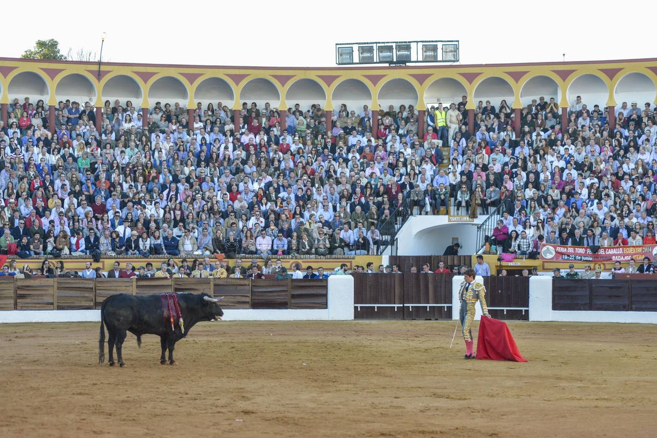 Ferrera y El Juli en Olivenza 2014