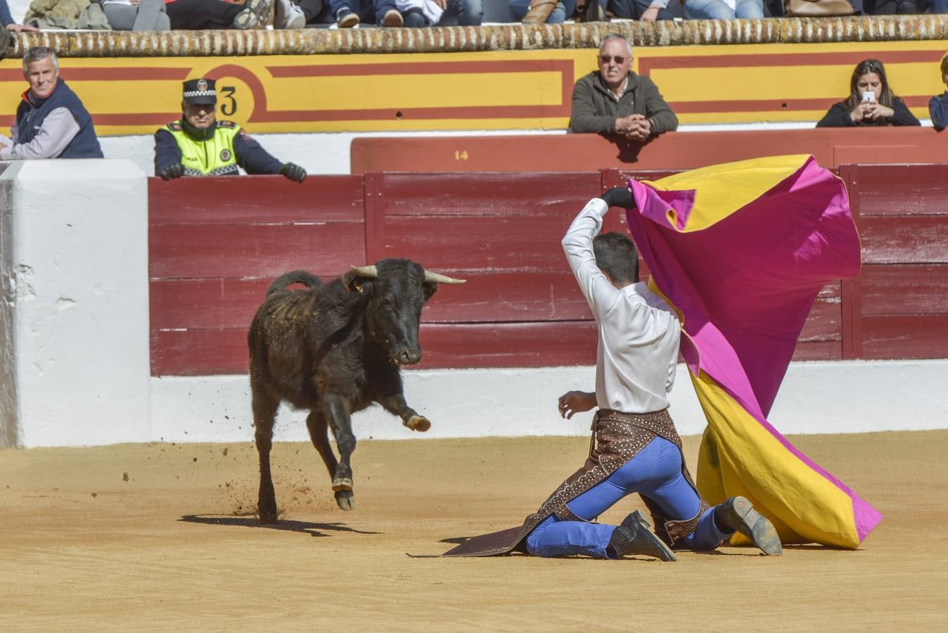 Capea de Talavante en Olivenza