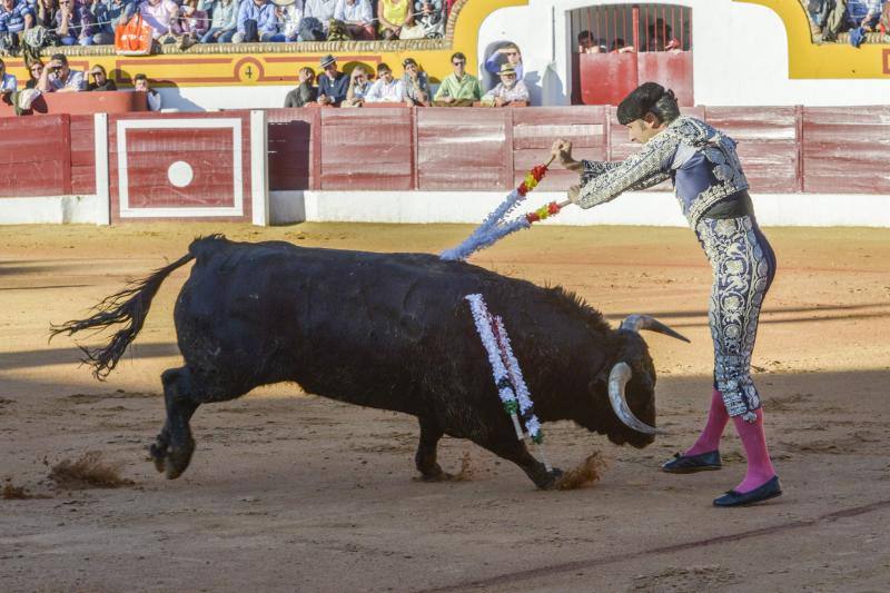 Triunfo rotundo de Talavante en Olivenza
