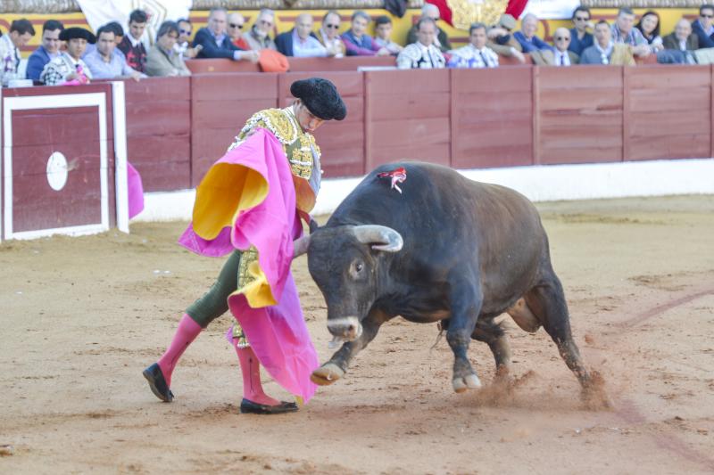 Triunfo rotundo de Talavante en Olivenza