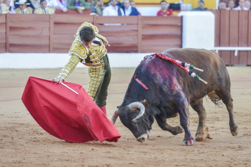 Triunfo rotundo de Talavante en Olivenza