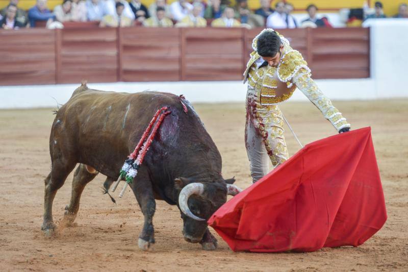 Triunfo rotundo de Talavante en Olivenza