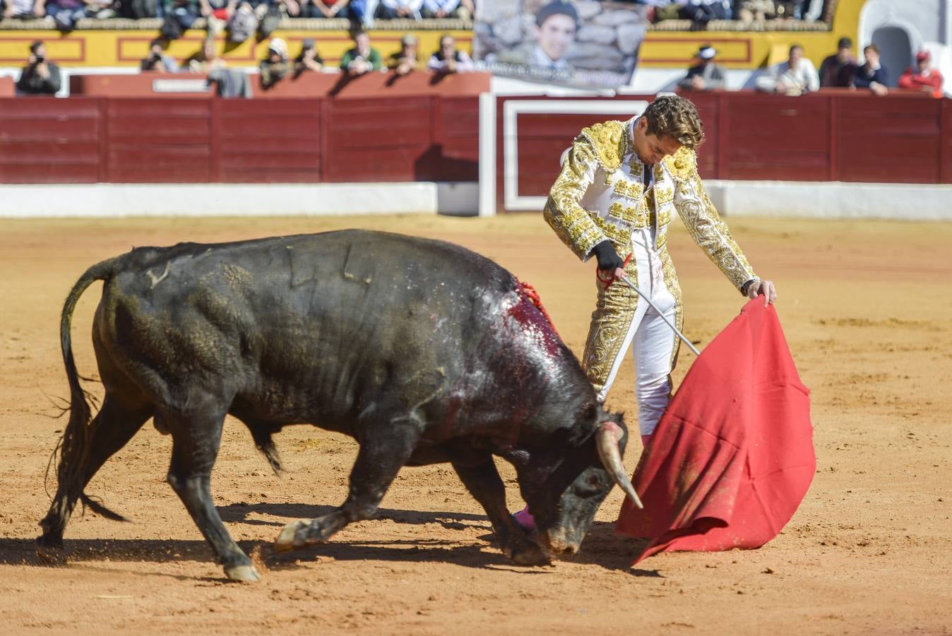 Las mejores imágenes de la Feria de Olivenza