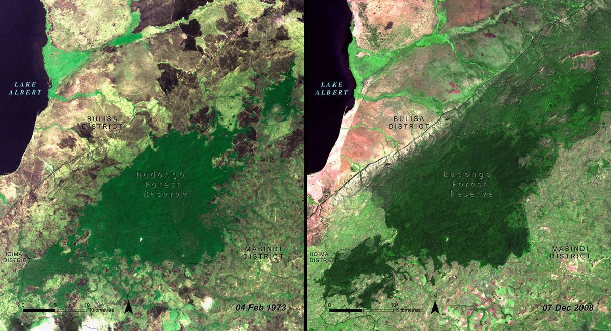 Reforestación en Uganda entre 1973 y 2008