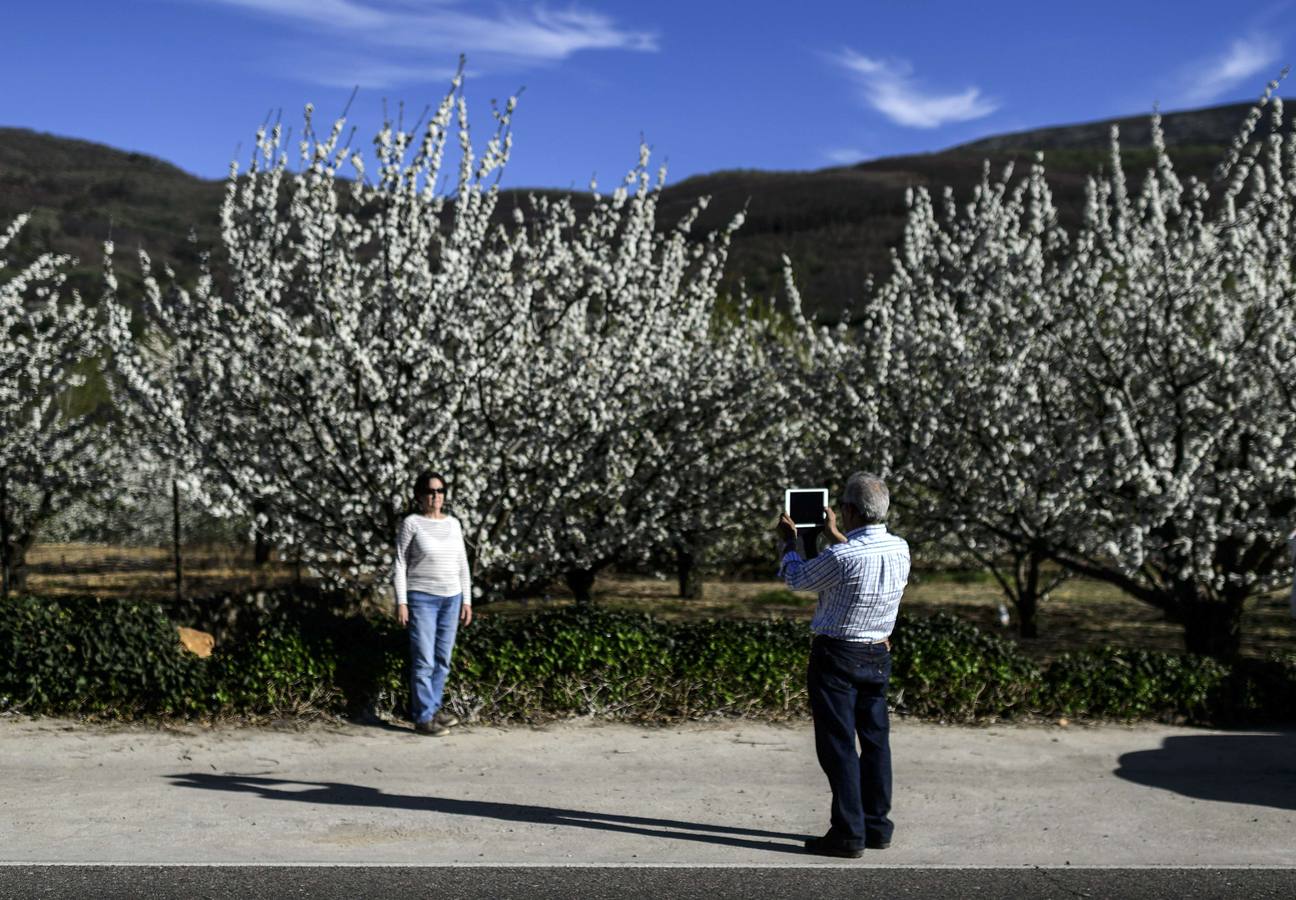 El Valle del Jerte muestra todo su esplendor en Semana Santa
