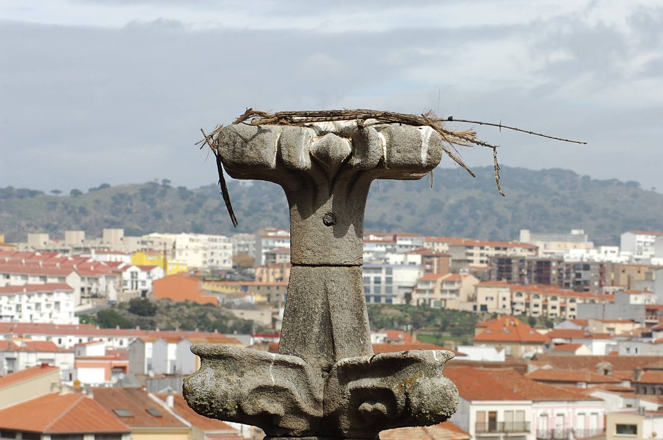 La Catedral de Plasencia y las Cigüeñas