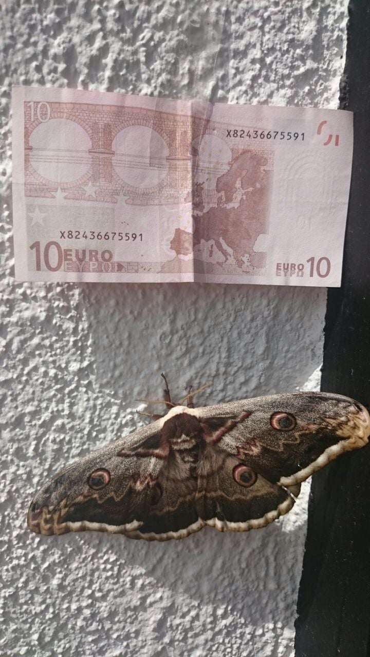 Foto: Alfonso García Cobaleda