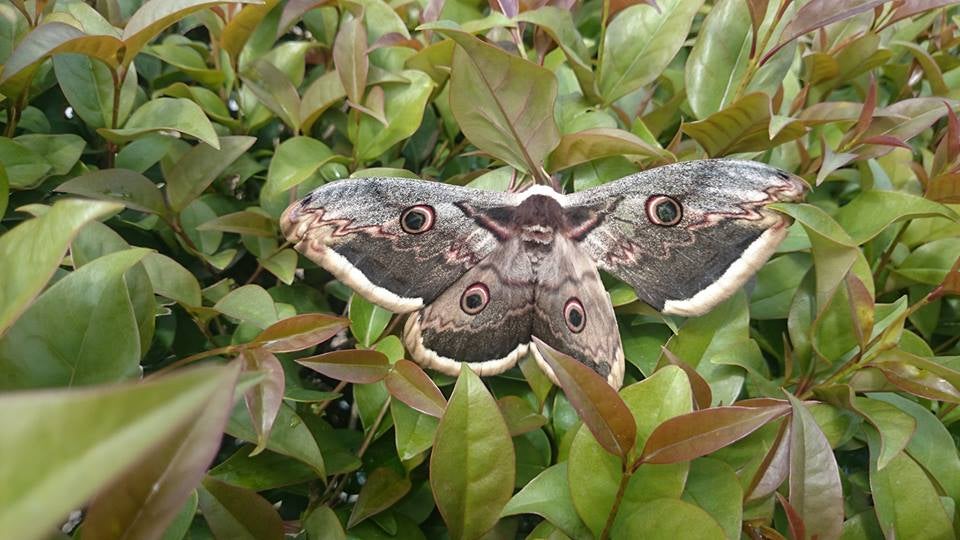 Foto: María José Franco