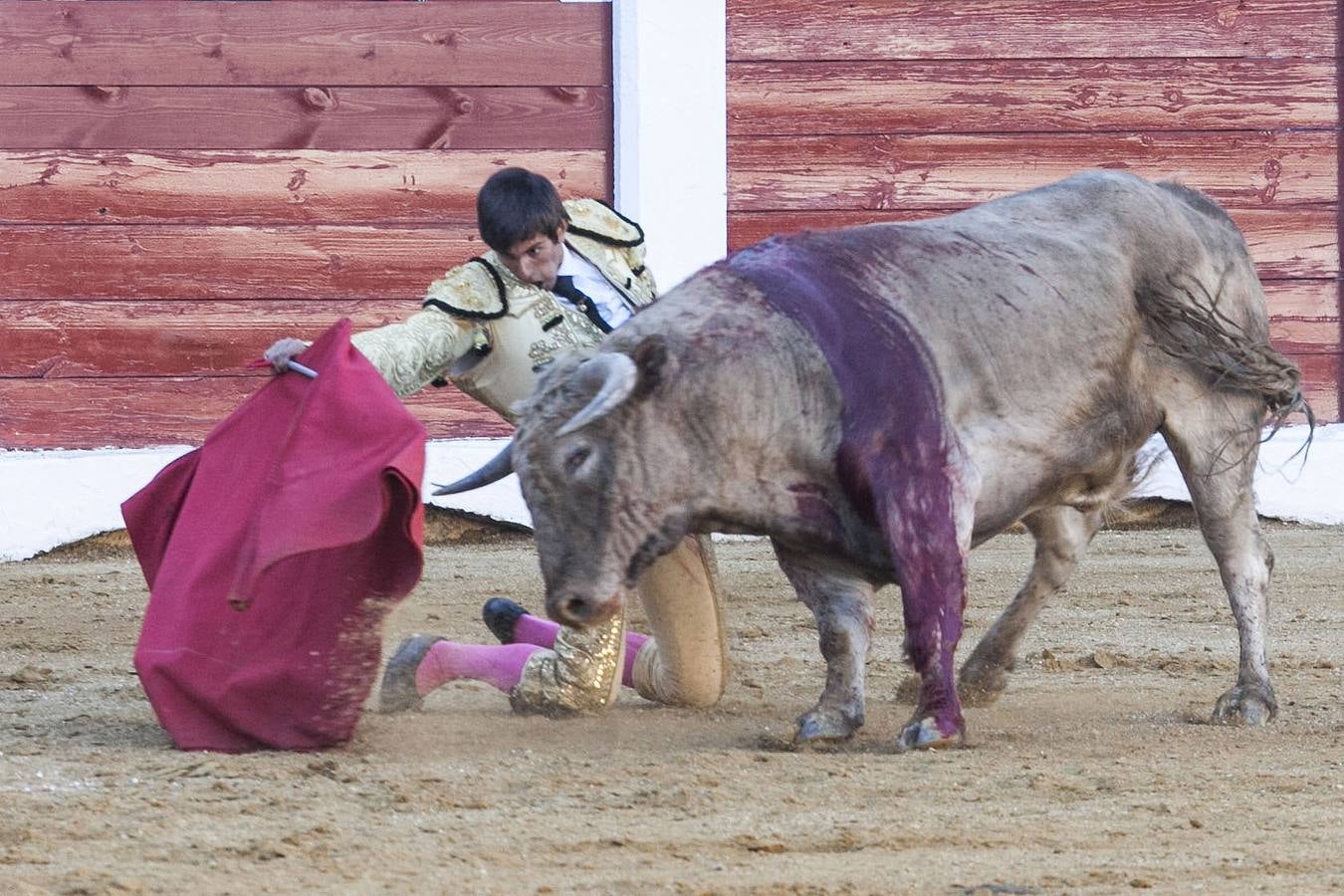 Domingo, 19 de abril: Posada de Maravillas, Alejandro Fermín y Juan Carlos Carballo estuvieron por encima del ganado. Media entrada larga en una nivillada entretenida en el que la presidencia solo rompió su elogiable rigor en la concesión de trofeos en el último novillo. Fotografía: Jorge Rey