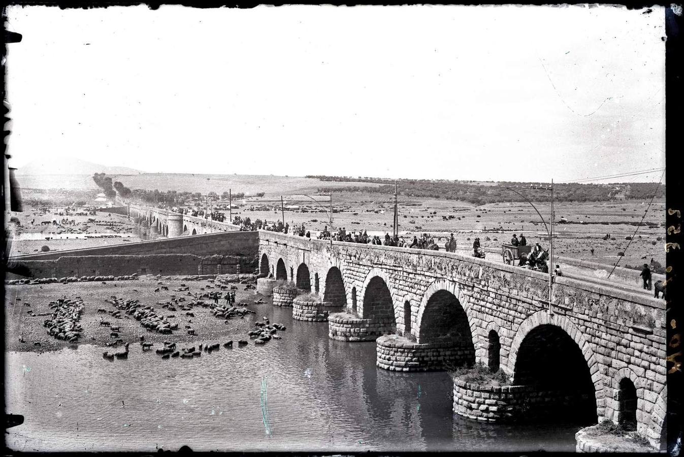 Celebración de la feria de ganado en el Puente Romano de Mérida (Marcial Bocconi, c.a.1915).