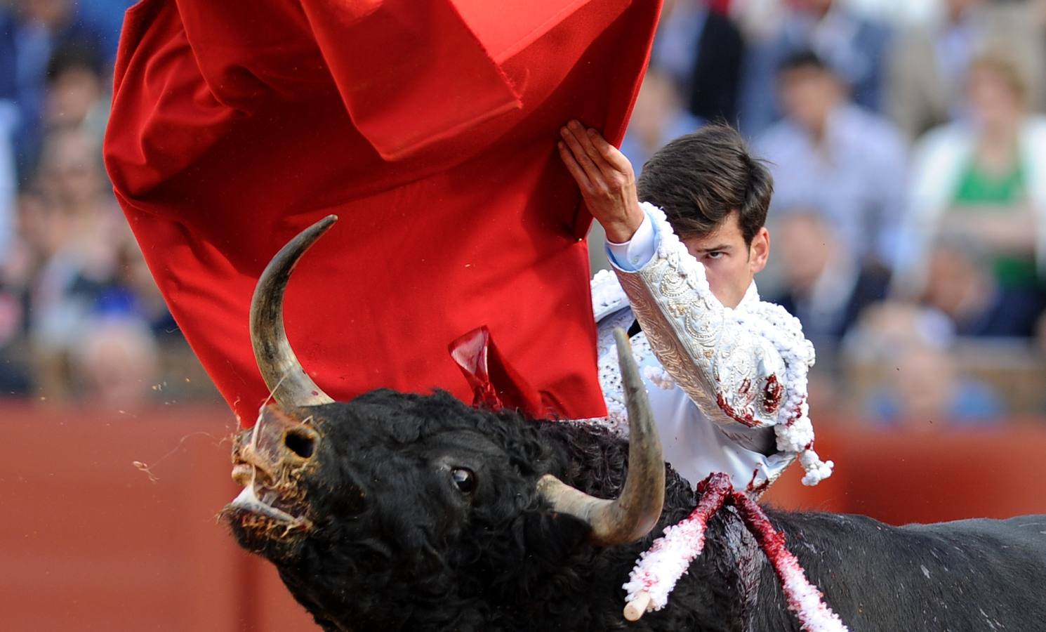 Alternativa de Garrido, torero de emoción