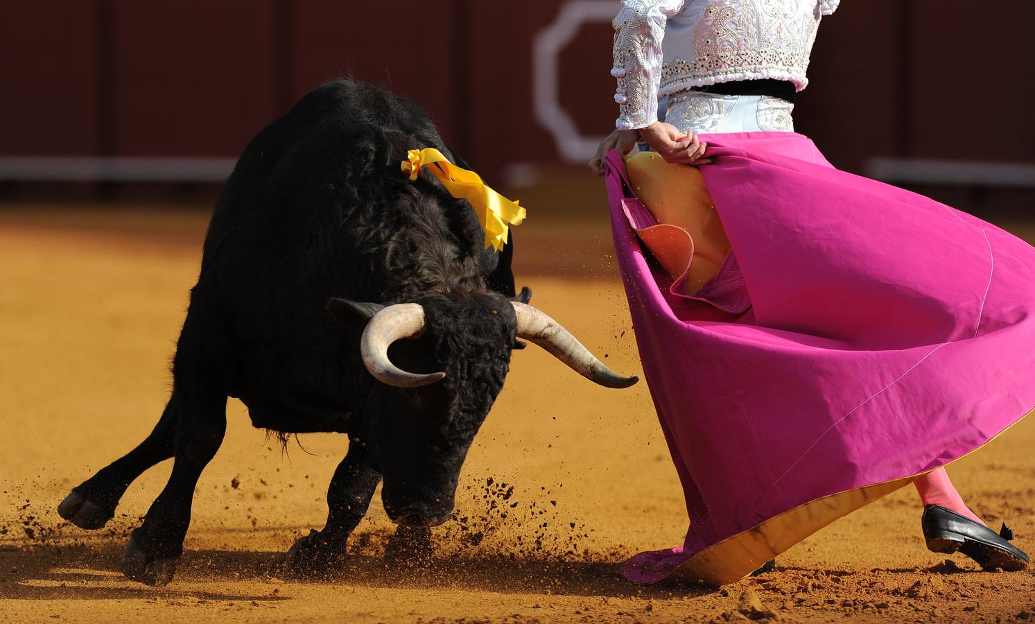 Alternativa de Garrido, torero de emoción