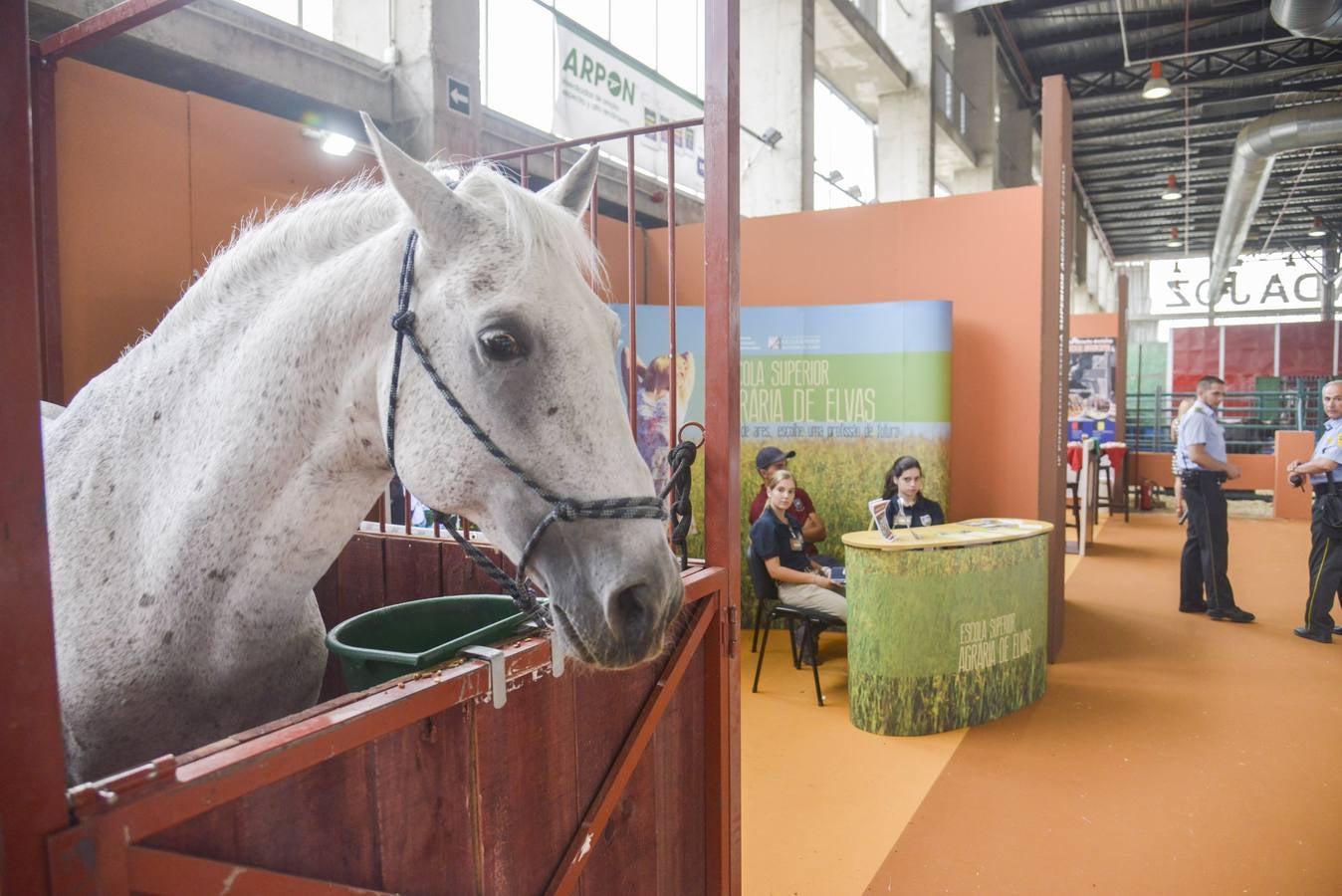 Jueves, 11 de junio: Inauguración de la Feria del Caballo y del Toro “Ecuextre” en Badajoz. Fotografías: J. V. Arnelas.