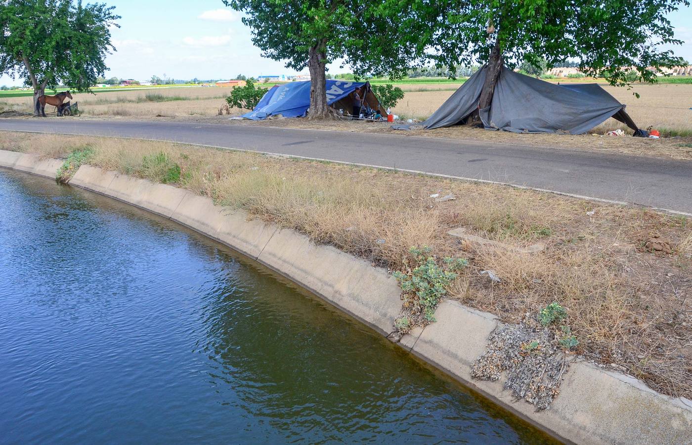 Viernes, 12 de junio: Muere una niña portuguesa de 18 meses tras caer al canal de Lobón en Talavera la Real. Fotografías: Casimiro Moreno