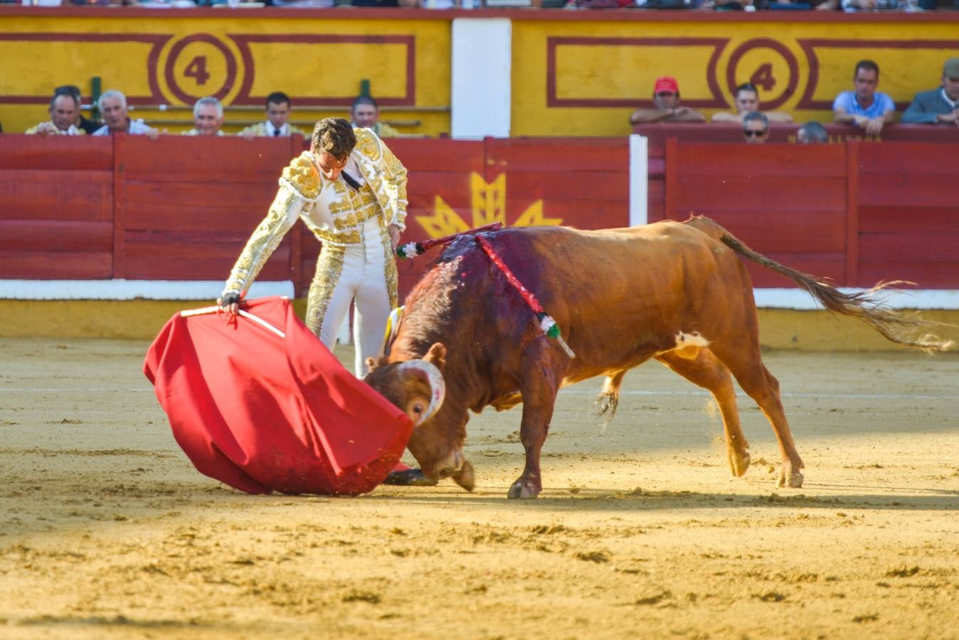 Jueves, 25 de junio: Novillada de la Feria de San Juan. Salieron por la puerta Grande Posada de Maravillas y Ginés Marín. Juan Carlos Carballo se tuvo que conformar con una oreja. Fotografías: JV Arnelas