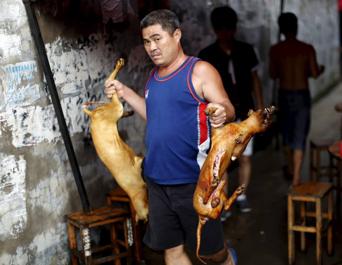 Lunes, 22 de junio. En el mercado, algunos perros se venden como mascotas, mientras que en otros se venden como carne para consumo humano. En la fiesta local de la ciudad de Yulin (China) es costumbre consumir carne de perro y lichis en la celebración del solsticio de verano. Fotografías: Kim Kyung-Hoon