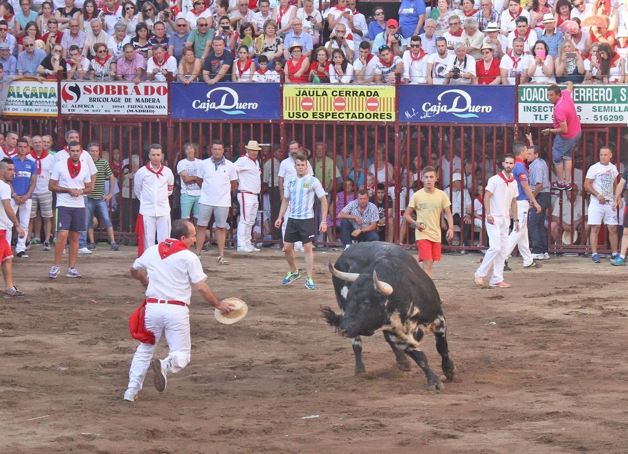 Miércoles, 24 de junio: Fallece corneado un vecino de Moraleja en los Sanjuanes de Coria. Fotografías: HOY