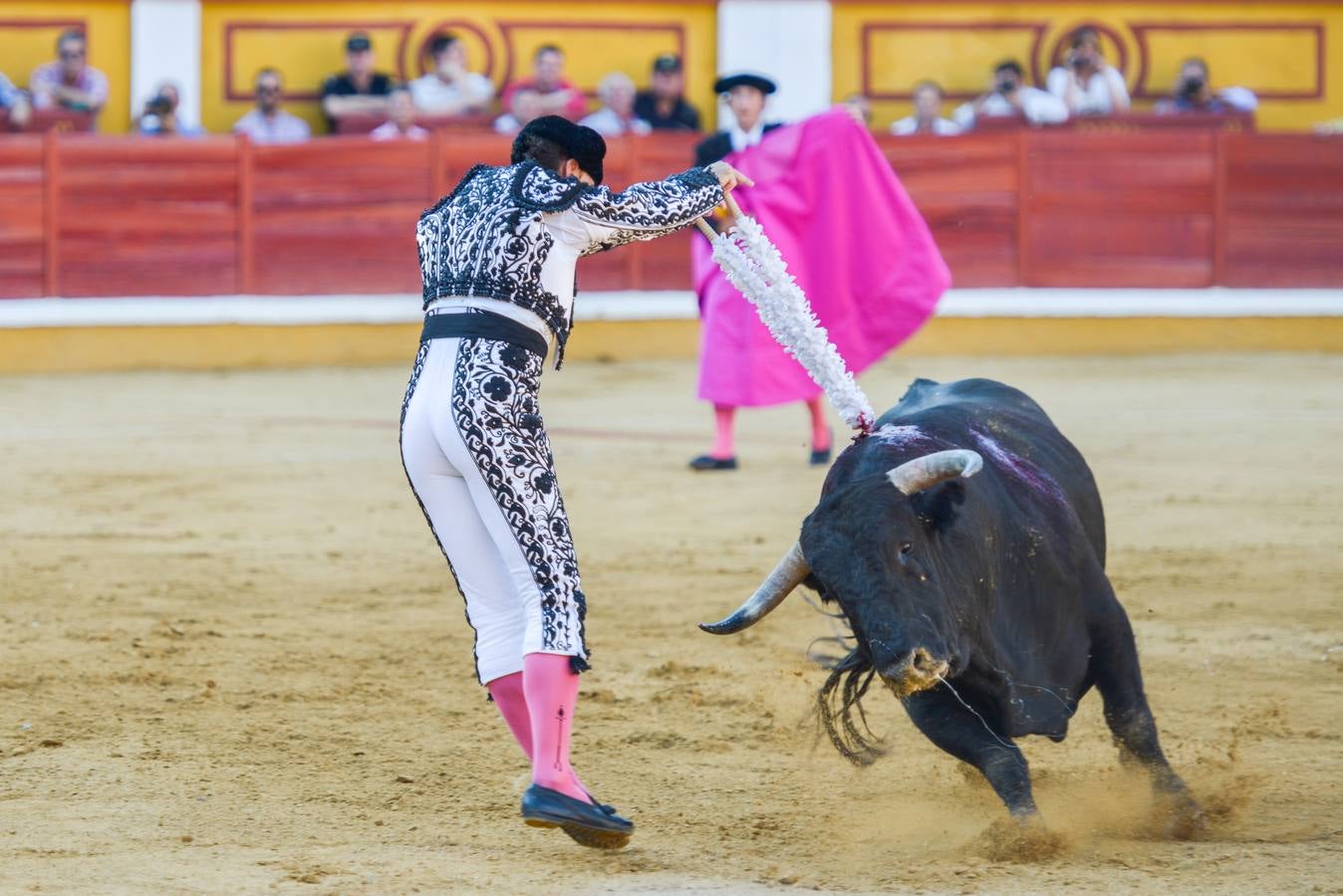 Orejas de peso en una difícil novillada de Fernando Peña en el coso de Pardaleras