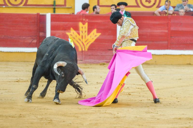 Orejas de peso en una difícil novillada de Fernando Peña en el coso de Pardaleras