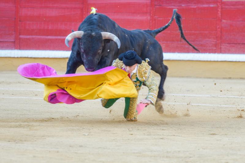 Orejas de peso en una difícil novillada de Fernando Peña en el coso de Pardaleras