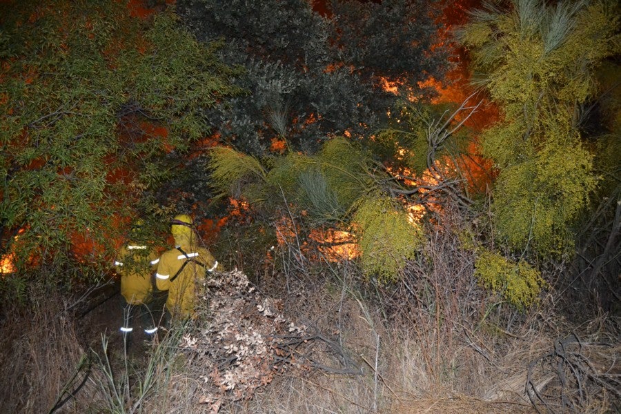 Un incendio obliga a cortar la pista que une Arroyo de San Serván con Calamonte