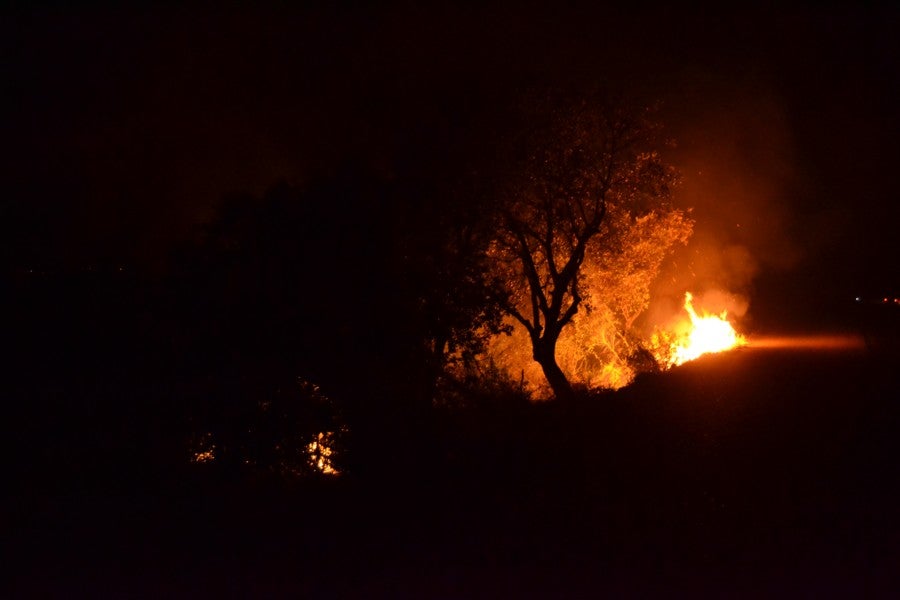 Un incendio obliga a cortar la pista que une Arroyo de San Serván con Calamonte