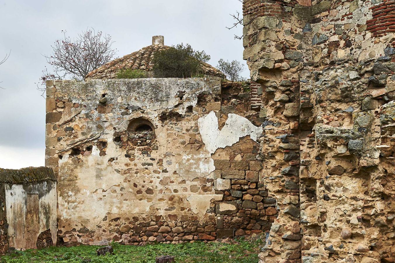 Imagen exterior de la rabita