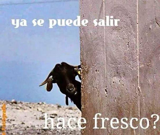 Los mejores &#039;memes&#039; para afrontar la ola de calor