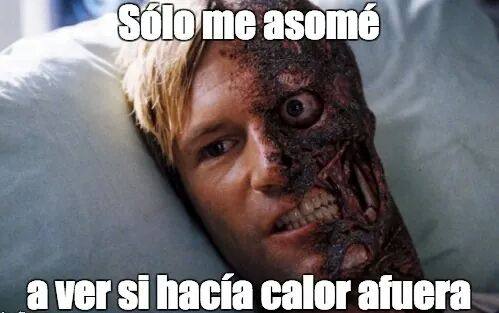 Los mejores &#039;memes&#039; para afrontar la ola de calor