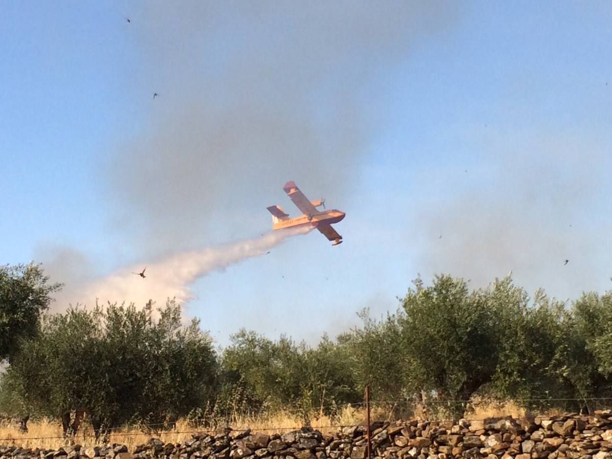 Sábado, 11 de julio: Un incendio que ha dejado más de 100 hectáreas quemadas, alertaron a parte de la comarca de Trujillo. Las llamas llegaron justo a la entrada de Ibahernando. Fotografía: Javier Sánchez