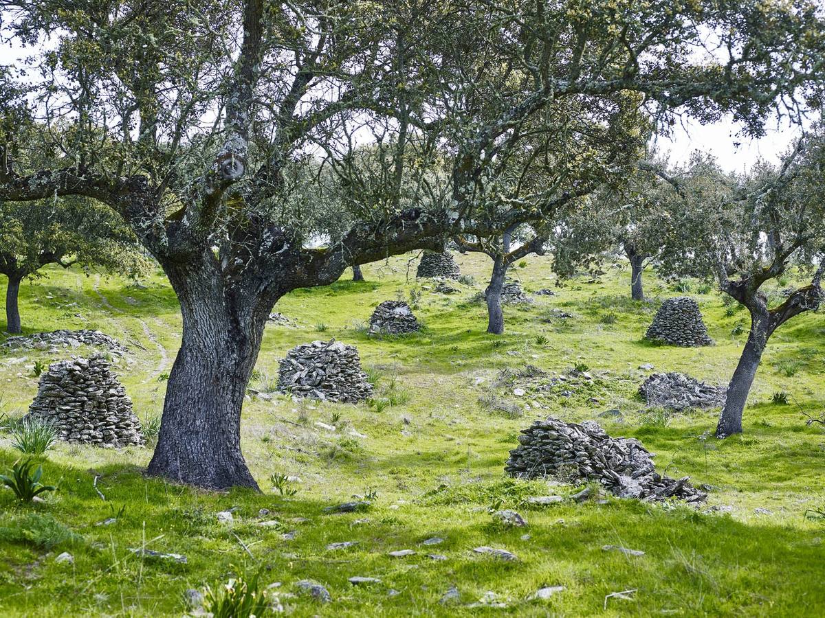 Majanos con materianes procedentes de las viviendas de la población