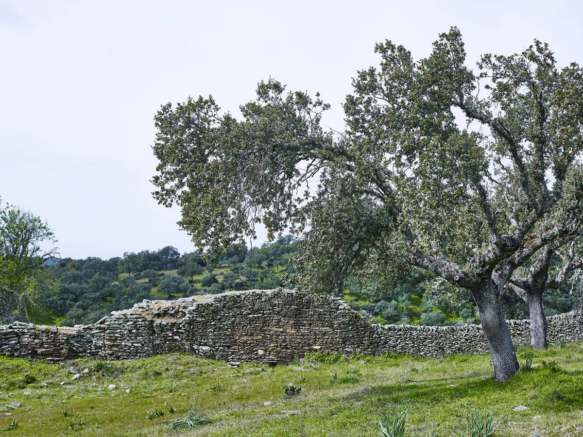 Puerta de la muralla tapiada