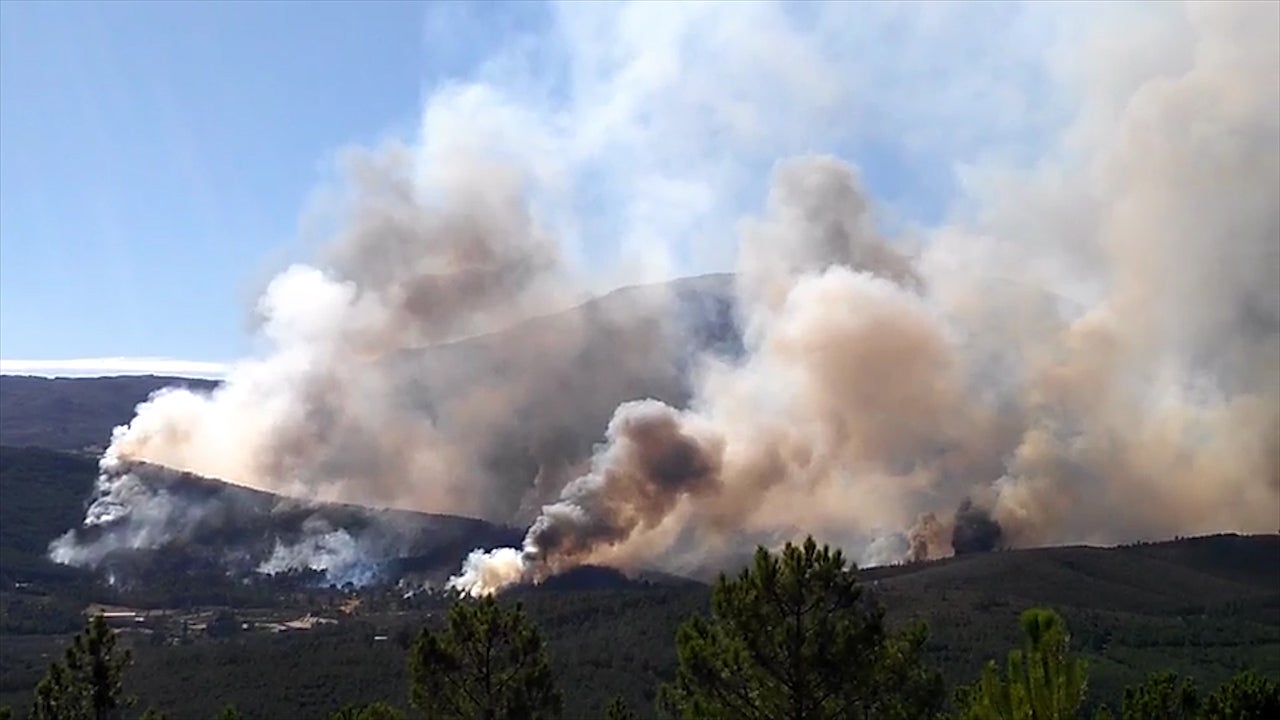 Incendio forestal declarado en Acebo