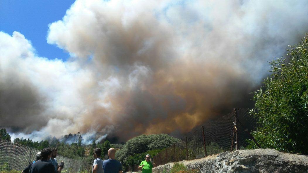 Incendio forestal declarado en Acebo