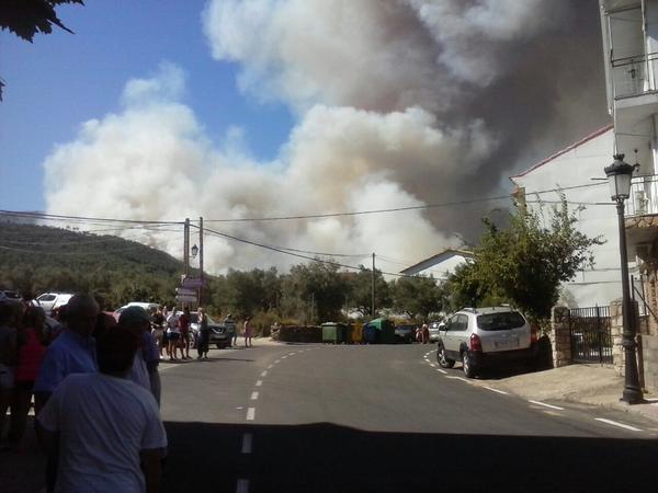 Incendio forestal declarado en Acebo