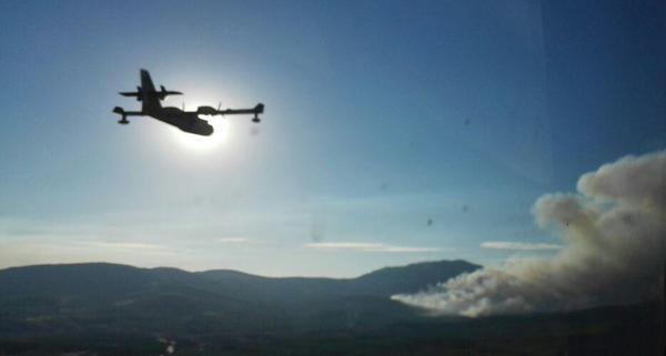 Incendio forestal declarado en Acebo