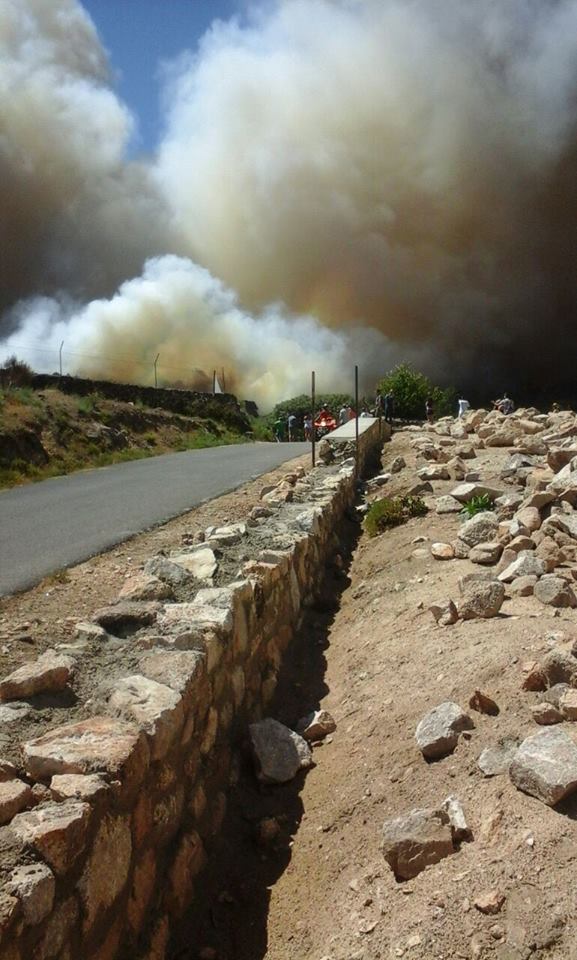 Incendio forestal declarado en Acebo