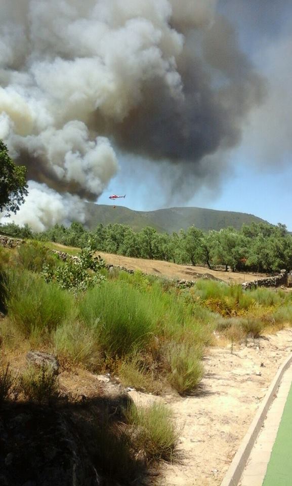 Incendio forestal declarado en Acebo