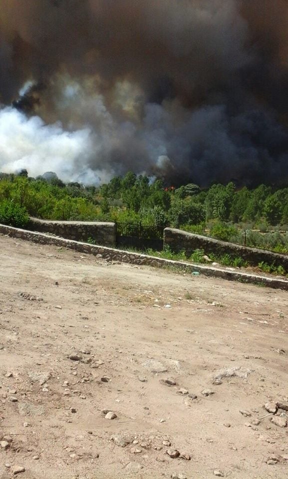 Incendio forestal declarado en Acebo