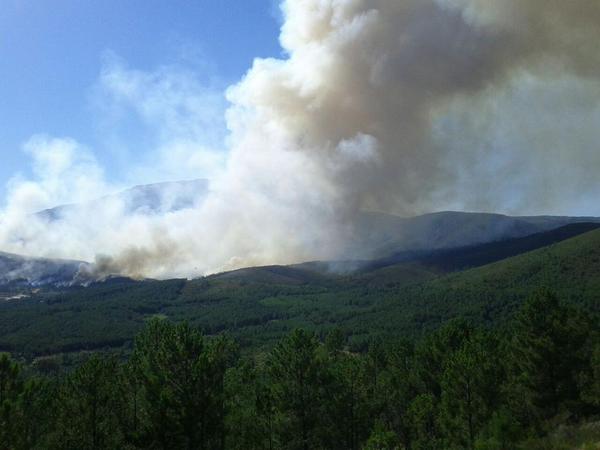 Incendio forestal declarado en Acebo