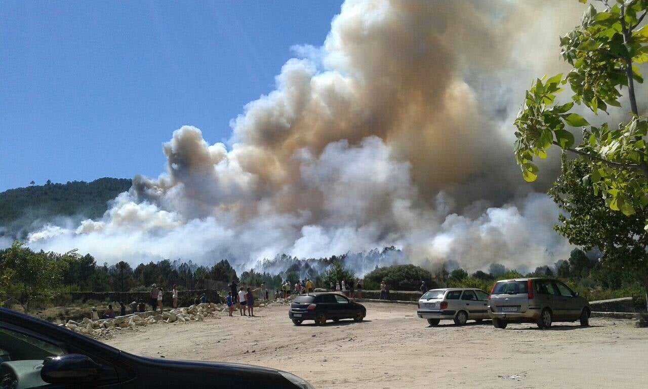 Incendio forestal declarado en Acebo