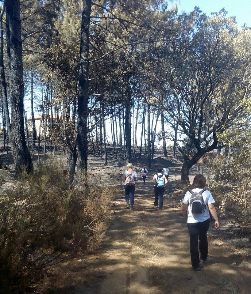 Batidas por el monte para salvar animales heridos por el fuego