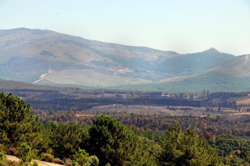 El fuego ha devorado cercad e 8.000 hectáreas de monte