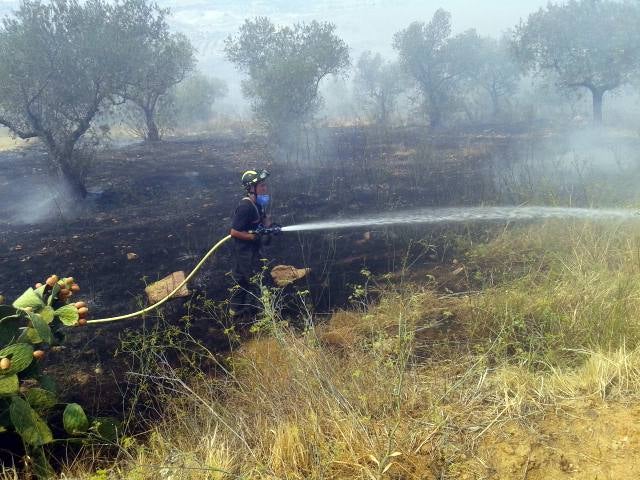 Controlado un fuego en la Sierra de Hornachos