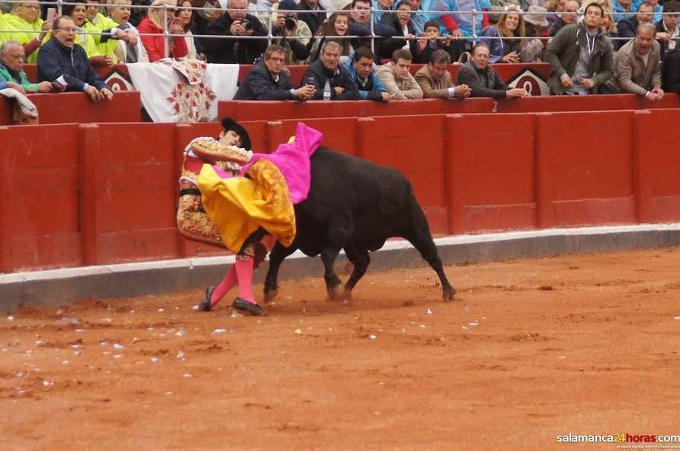 Cogida de Miguel Ángel Perera en Salamanca