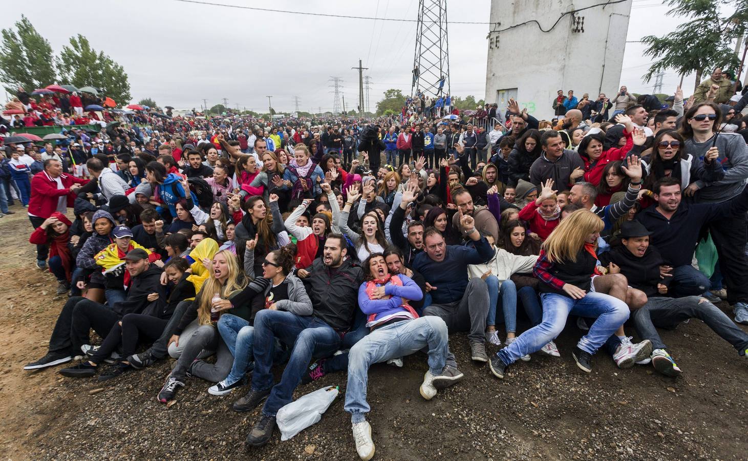 El Toro de la Vega 2015