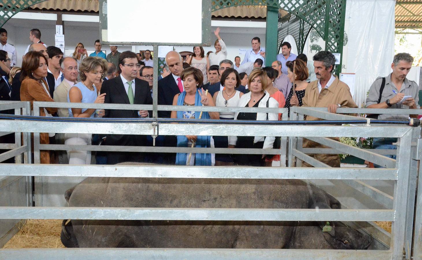 Inauguración de la Feria Internacional Ganadera de Zafra 2015