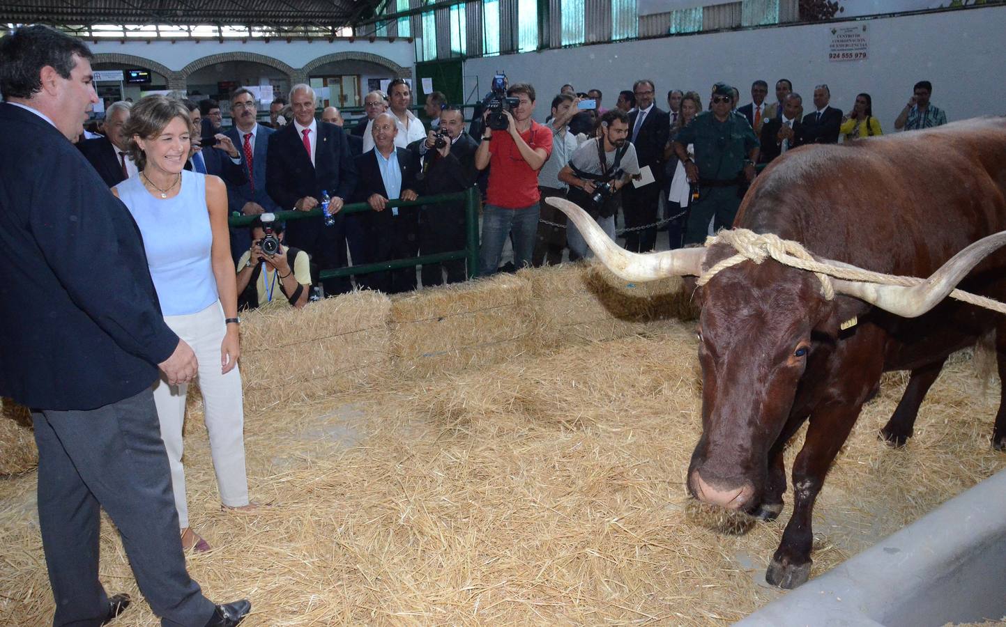 Inauguración de la Feria Internacional Ganadera de Zafra 2015