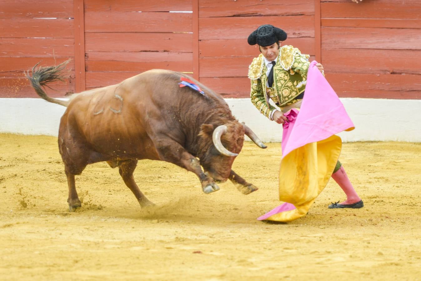 Posada de Maravillas triunfa en su alternativa en Zafra