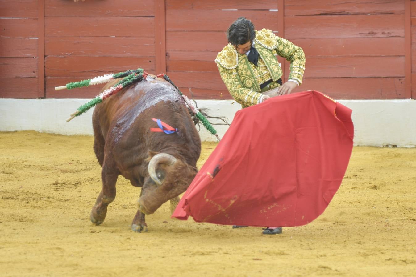 Posada de Maravillas triunfa en su alternativa en Zafra